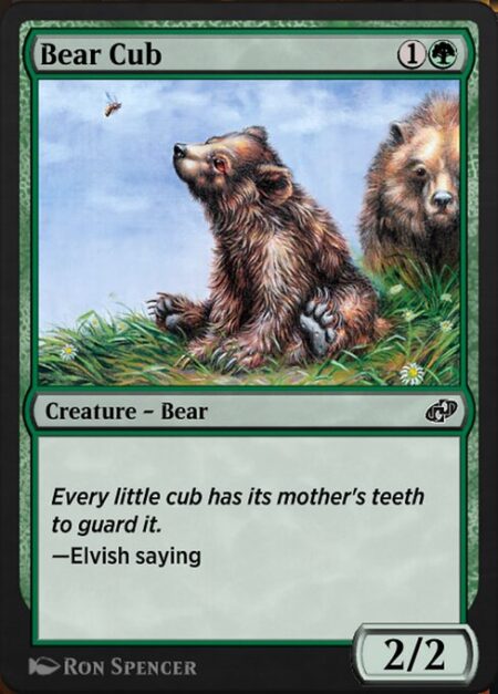 Bear Cub -