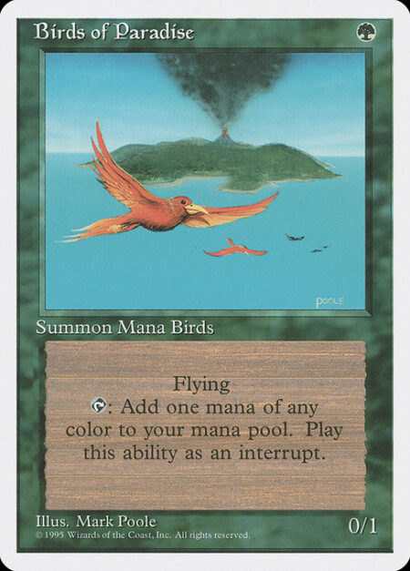 Birds of Paradise - Flying