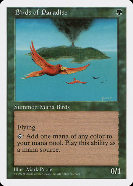 Birds of Paradise - Flying