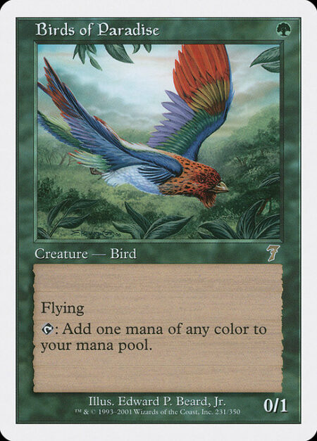 Birds of Paradise - Flying