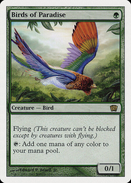 Birds of Paradise - Flying