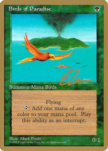 Birds of Paradise - Flying