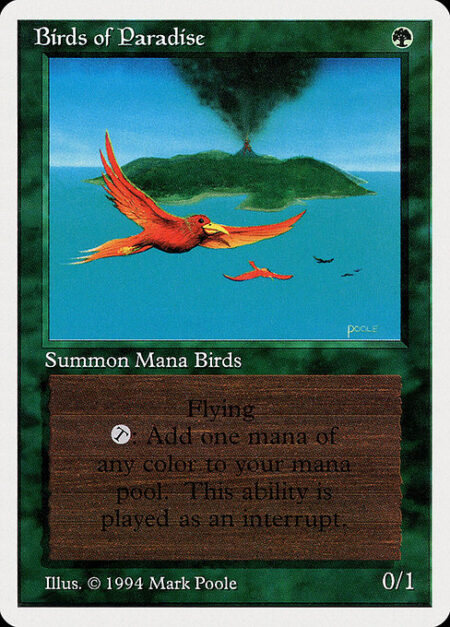 Birds of Paradise - Flying