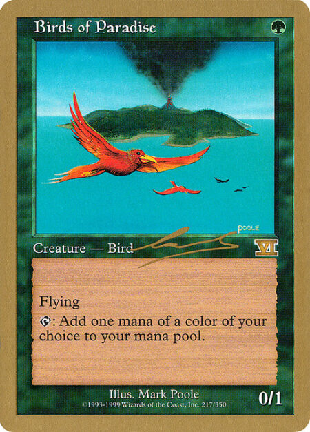 Birds of Paradise - Flying