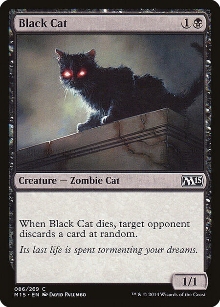 Black Cat - When Black Cat dies