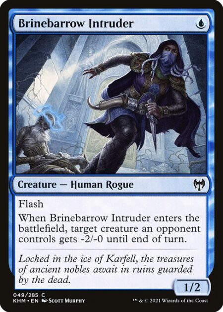 Brinebarrow Intruder - Flash