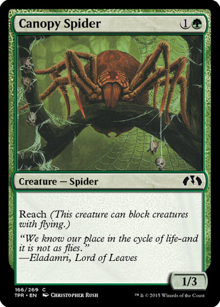 Canopy Spider - Reach (This creature can block creatures with flying.)