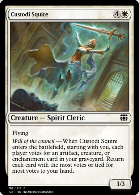 Custodi Squire - Flying