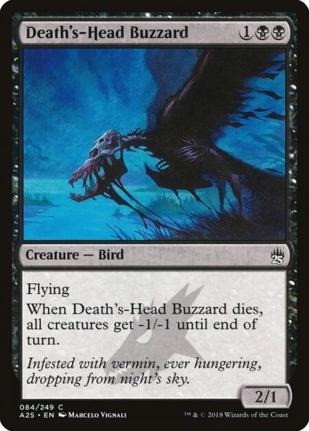 Death's-Head Buzzard - Flying