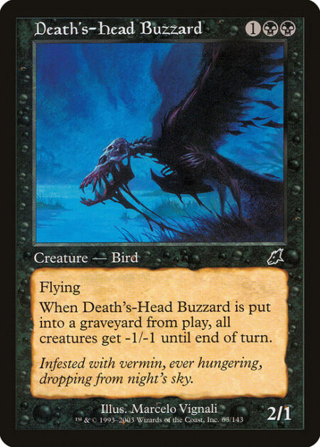 Death's-Head Buzzard - Flying