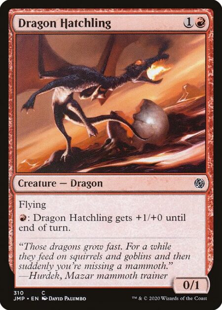 Dragon Hatchling - Flying