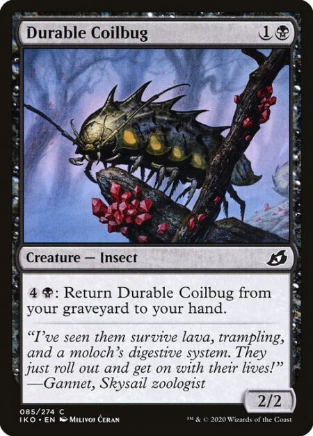 Durable Coilbug - {4}{B}: Return Durable Coilbug from your graveyard to your hand.