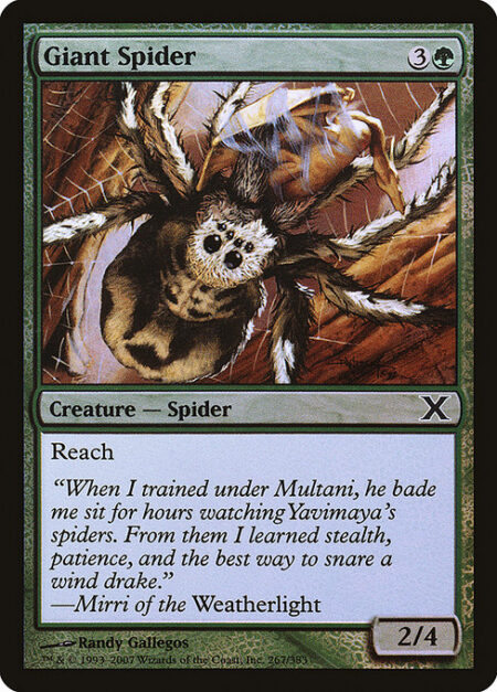 Giant Spider - Reach (This creature can block creatures with flying.)