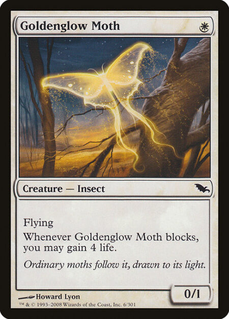 Goldenglow Moth - Flying