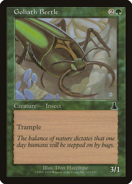 Goliath Beetle - Trample