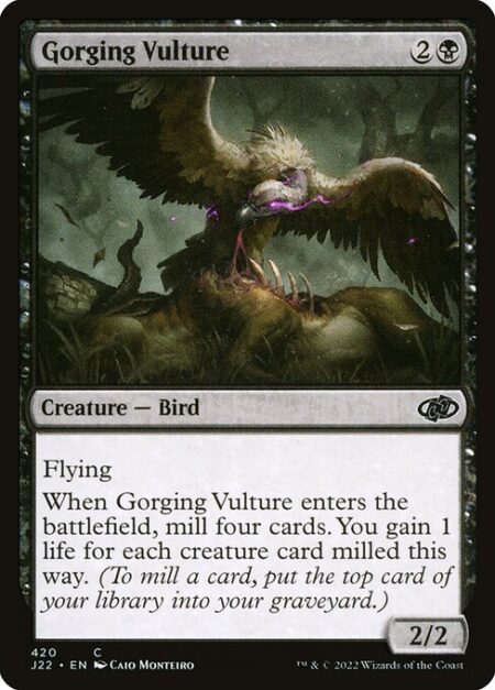 Gorging Vulture - Flying