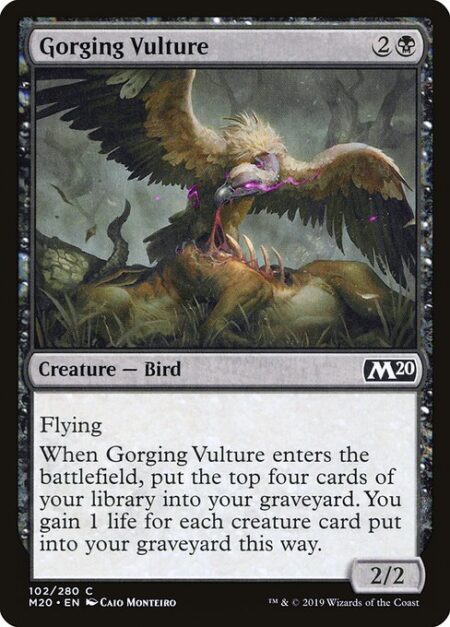 Gorging Vulture - Flying