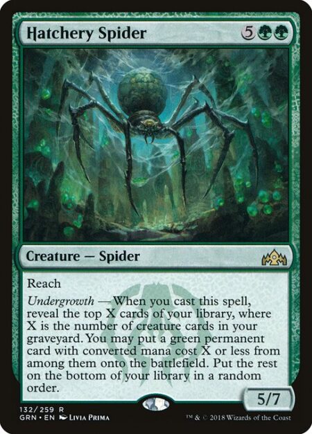 Hatchery Spider - Reach