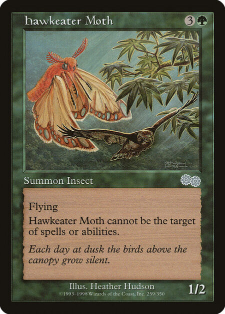 Hawkeater Moth - Flying