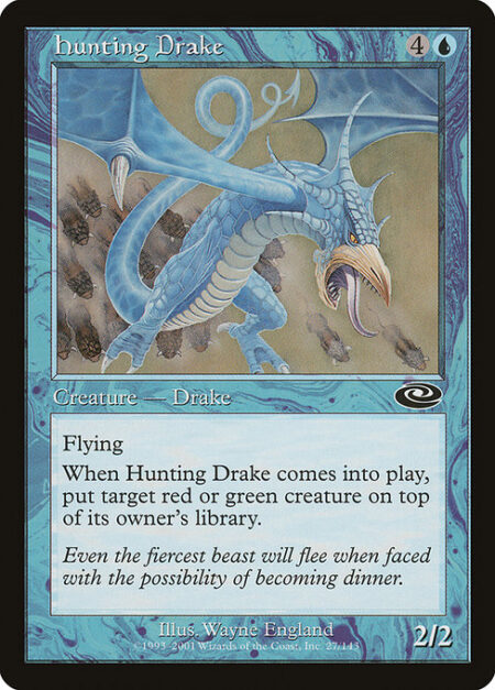 Hunting Drake - Flying