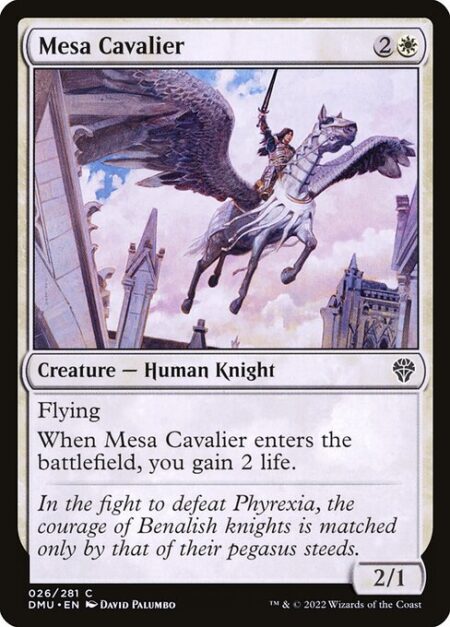 Mesa Cavalier - Flying