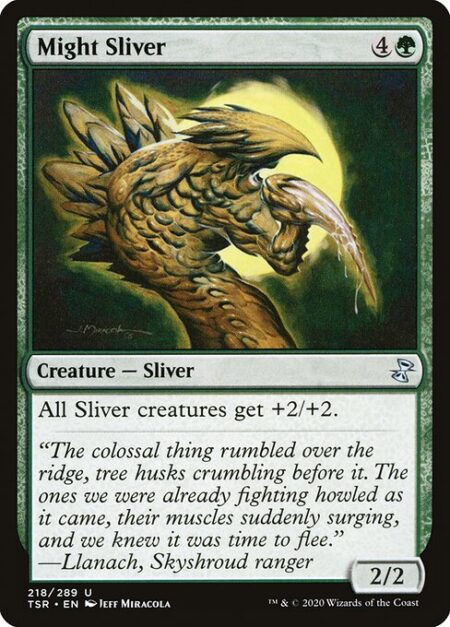 Might Sliver - All Sliver creatures get +2/+2.