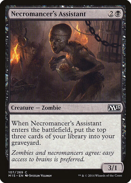 Necromancer's Assistant - When Necromancer's Assistant enters the battlefield