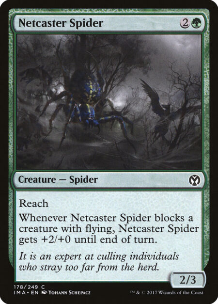 Netcaster Spider - Reach (This creature can block creatures with flying.)