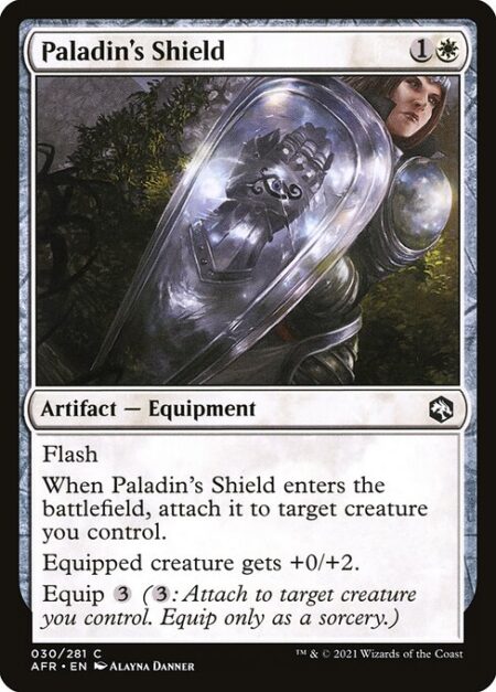 Paladin's Shield - Flash