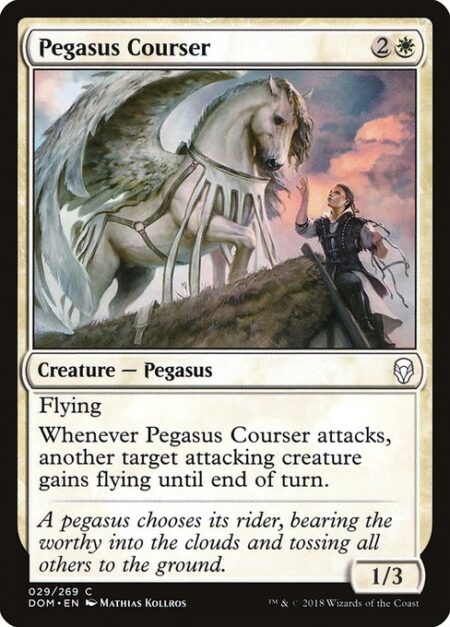 Pegasus Courser - Flying