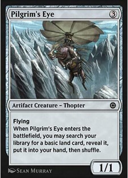 Pilgrim's Eye - Flying