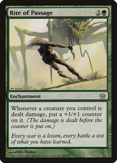 Rite of Passage - Whenever a creature you control is dealt damage