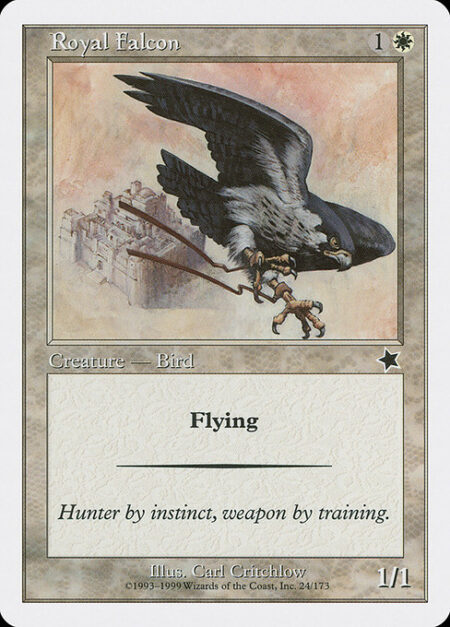 Royal Falcon - Flying