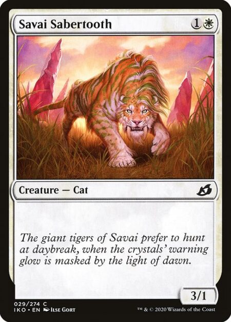 Savai Sabertooth -