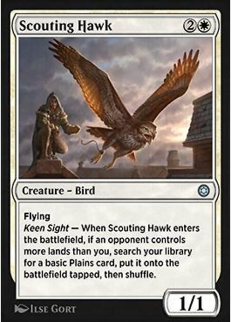 Scouting Hawk - Flying