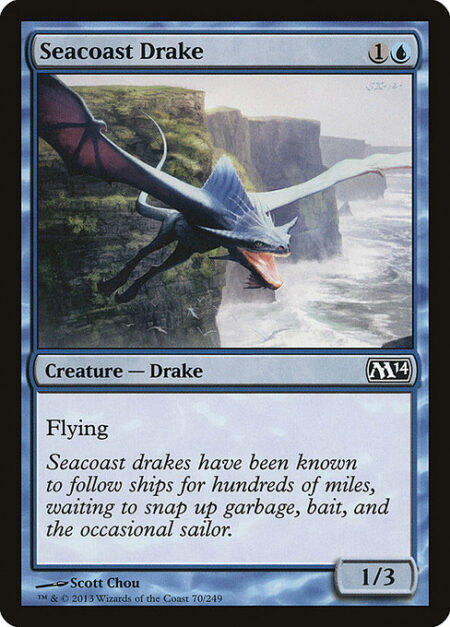 Seacoast Drake - Flying