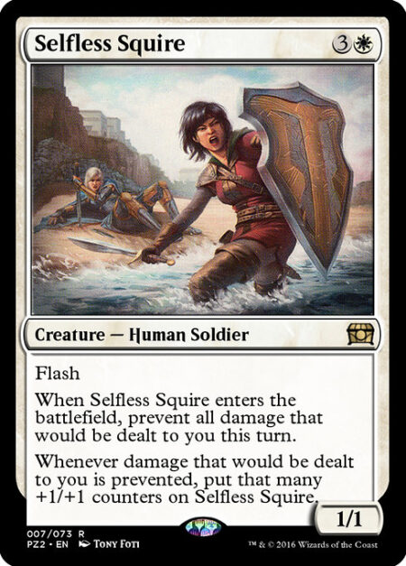 Selfless Squire - Flash