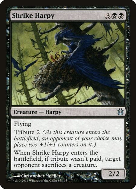 Shrike Harpy - Flying