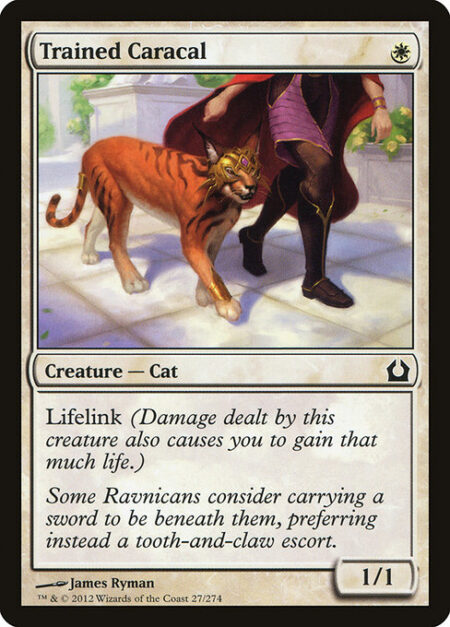 Trained Caracal - Lifelink (Damage dealt by this creature also causes you to gain that much life.)