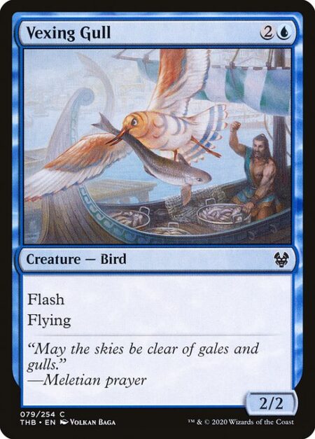 Vexing Gull - Flash