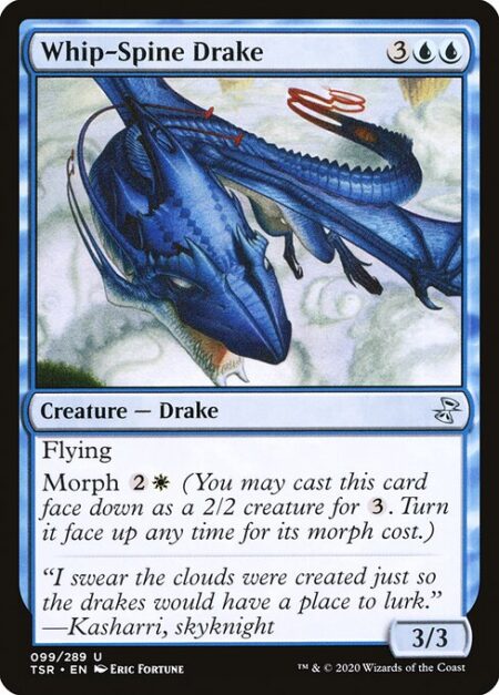 Whip-Spine Drake - Flying