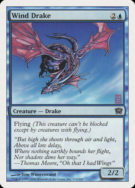 Wind Drake - Flying