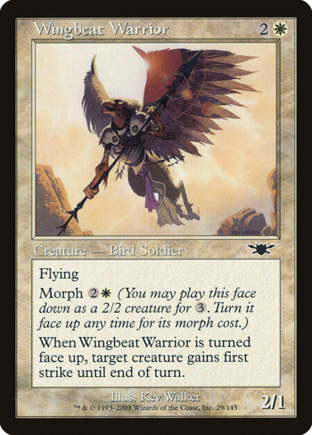 Wingbeat Warrior - Flying