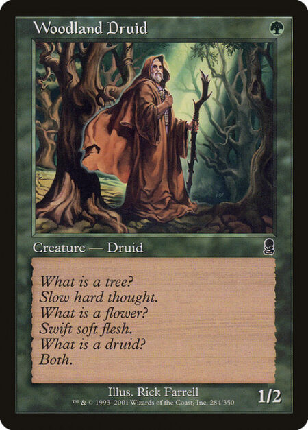 Woodland Druid -