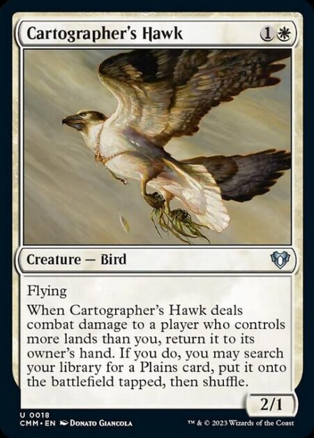 Cartographer's Hawk - Flying