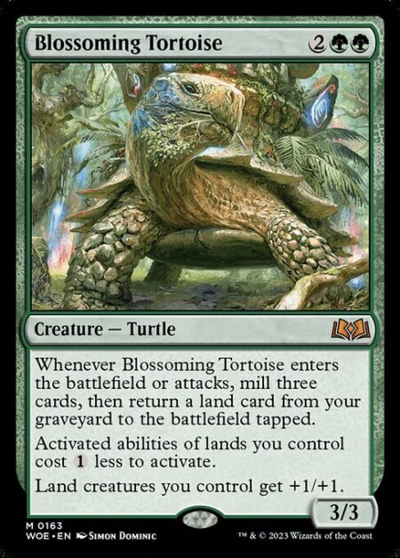 Blossoming Tortoise - Whenever Blossoming Tortoise enters the battlefield or attacks