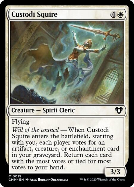 Custodi Squire - Flying