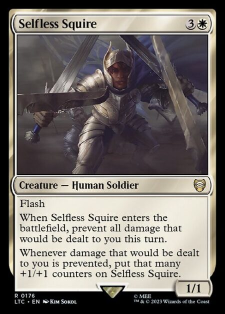 Selfless Squire - Flash