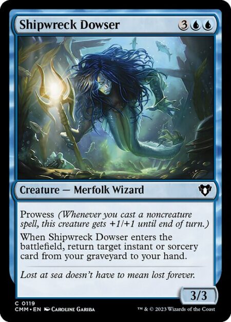 Shipwreck Dowser - Prowess (Whenever you cast a noncreature spell