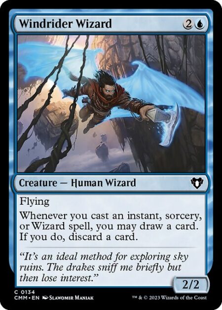 Windrider Wizard - Flying